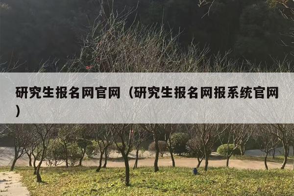 研究生报名网官网（研究生报名网报系统官网）