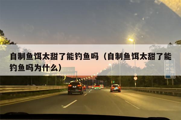 自制鱼饵太甜了能钓鱼吗（自制鱼饵太甜了能钓鱼吗为什么）