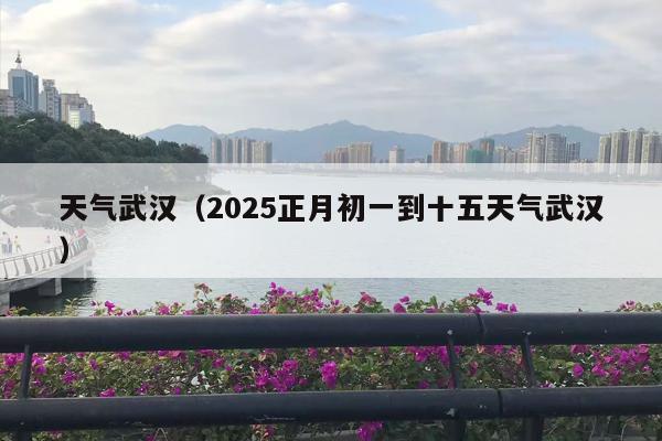 天气武汉（2025正月初一到十五天气武汉）
