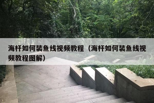 海杆如何装鱼线视频教程（海杆如何装鱼线视频教程图解）