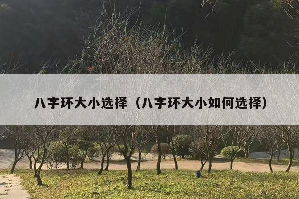 八字环大小选择（八字环大小如何选择）