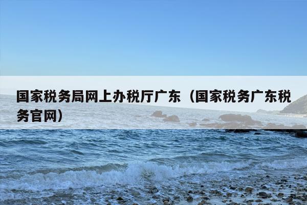 国家税务局网上办税厅广东（国家税务广东税务官网）