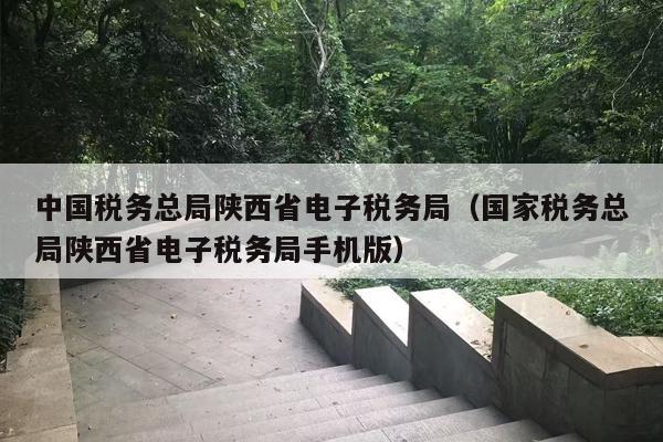 中国税务总局陕西省电子税务局（国家税务总局陕西省电子税务局手机版）