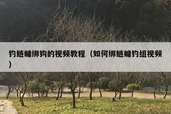 钓鲢鳙绑钩的视频教程（如何绑鲢鳙钓组视频）
