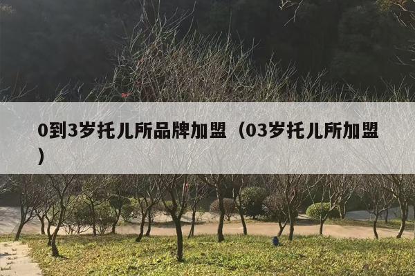 0到3岁托儿所品牌加盟（03岁托儿所加盟）