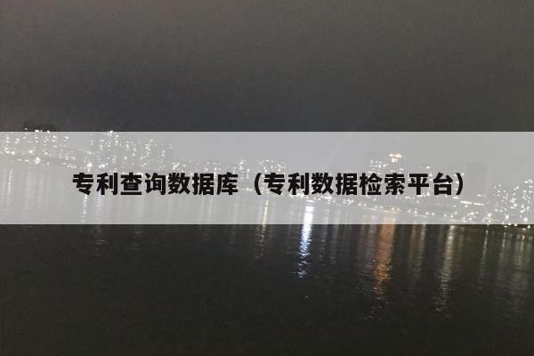 专利查询数据库（专利数据检索平台）