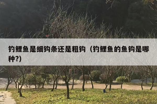 钓鲤鱼是细钩条还是粗钩（钓鲤鱼的鱼钩是哪种?）