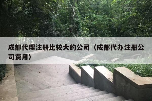 成都代理注册比较大的公司（成都代办注册公司费用）