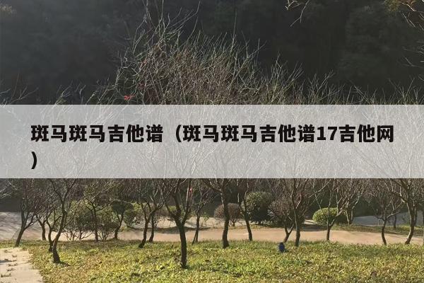 斑马斑马吉他谱（斑马斑马吉他谱17吉他网）