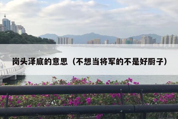 岗头泽底的意思（不想当将军的不是好厨子）