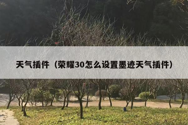 天气插件（荣耀30怎么设置墨迹天气插件）