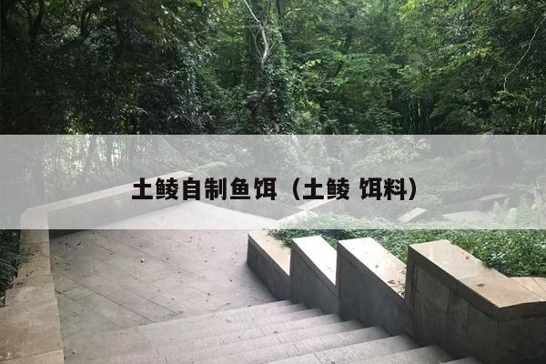土鲮自制鱼饵（土鲮 饵料）