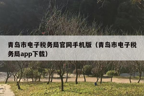 青岛市电子税务局官网手机版（青岛市电子税务局app下载）