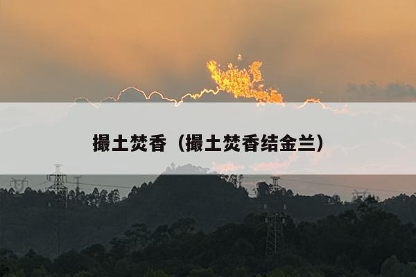 撮土焚香（撮土焚香结金兰）