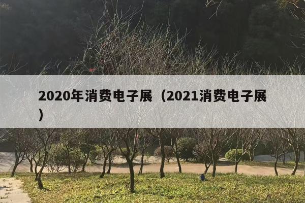 2020年消费电子展（2021消费电子展）
