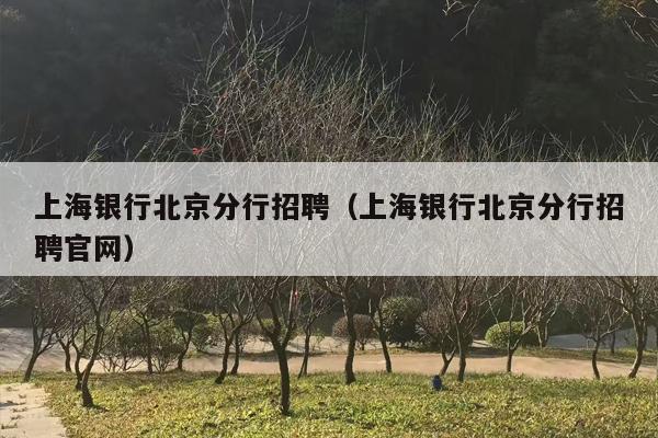上海银行北京分行招聘（上海银行北京分行招聘官网）