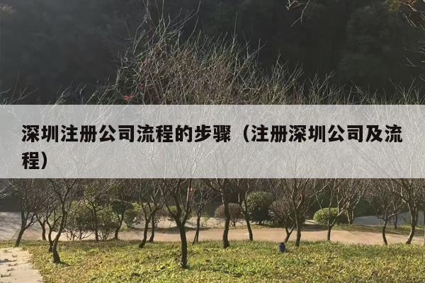 深圳注册公司流程的步骤（注册深圳公司及流程）