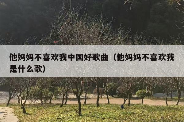 他妈妈不喜欢我中国好歌曲（他妈妈不喜欢我是什么歌）