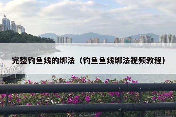 完整钓鱼线的绑法（钓鱼鱼线绑法视频教程）