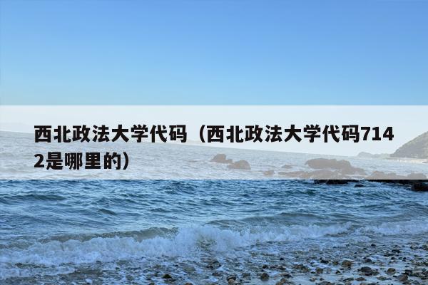 西北政法大学代码（西北政法大学代码7142是哪里的）
