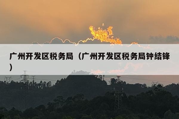广州开发区税务局（广州开发区税务局钟结锋）