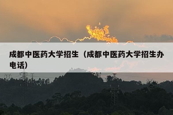 成都中医药大学招生（成都中医药大学招生办电话）