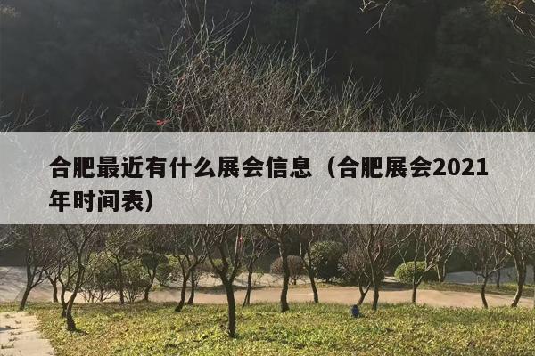 合肥最近有什么展会信息（合肥展会2021年时间表）