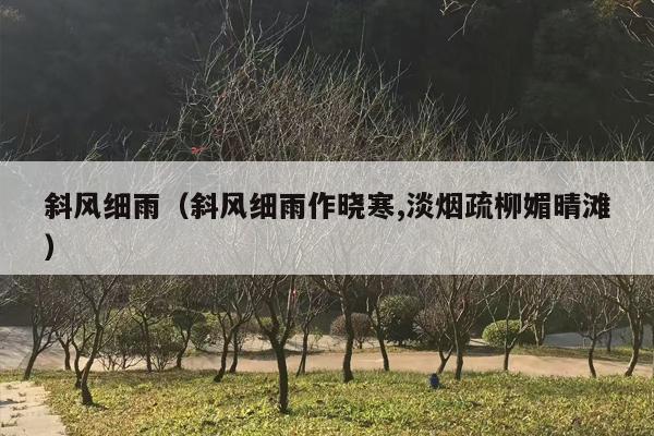 斜风细雨（斜风细雨作晓寒,淡烟疏柳媚晴滩）