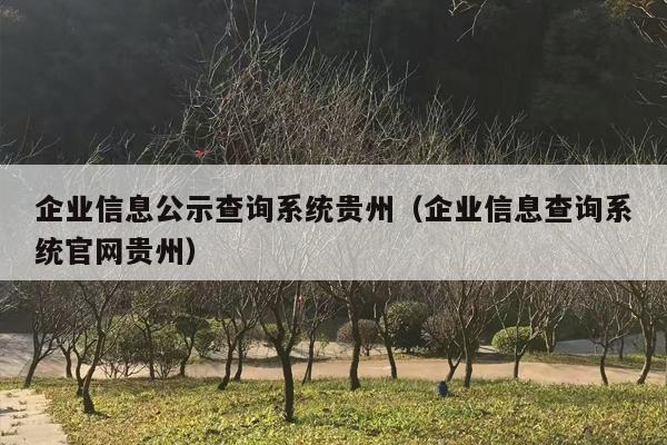 企业信息公示查询系统贵州（企业信息查询系统官网贵州）