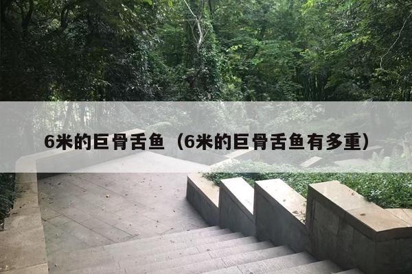 6米的巨骨舌鱼（6米的巨骨舌鱼有多重）