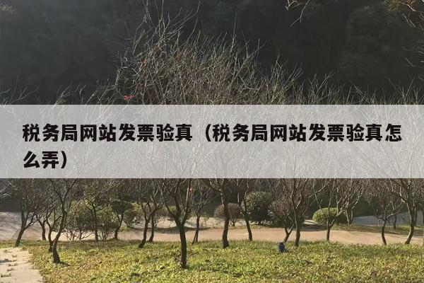 税务局网站发票验真（税务局网站发票验真怎么弄）