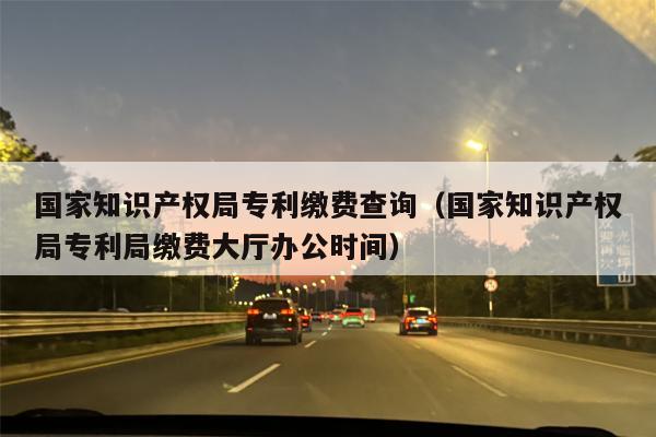 国家知识产权局专利缴费查询（国家知识产权局专利局缴费大厅办公时间）
