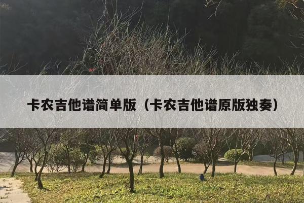 卡农吉他谱简单版（卡农吉他谱原版独奏）