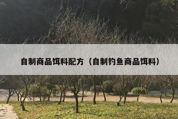 自制商品饵料配方（自制钓鱼商品饵料）