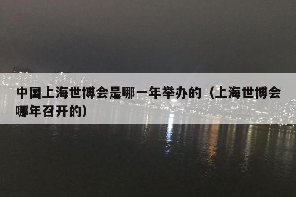 中国上海世博会是哪一年举办的（上海世博会哪年召开的）