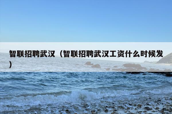 智联招聘武汉（智联招聘武汉工资什么时候发）