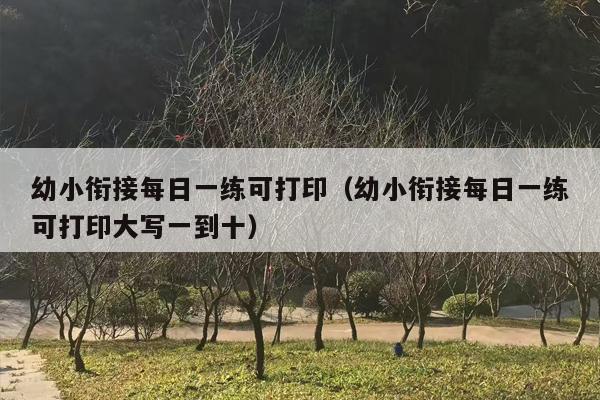 幼小衔接每日一练可打印（幼小衔接每日一练可打印大写一到十）