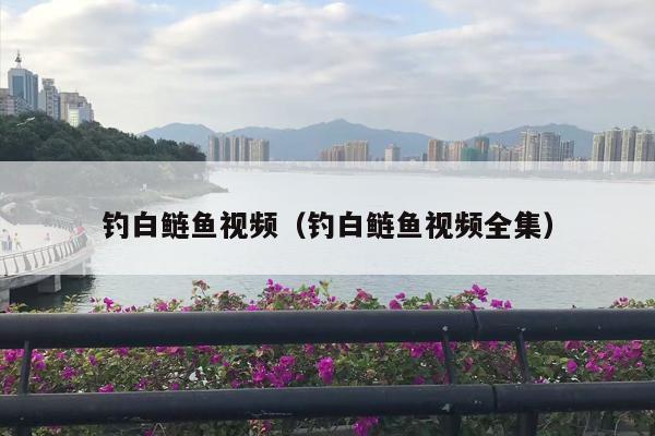 钓白鲢鱼视频（钓白鲢鱼视频全集）