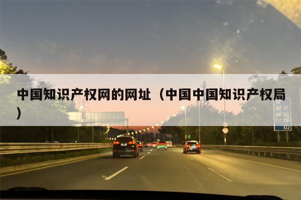 中国知识产权网的网址（中国中国知识产权局）