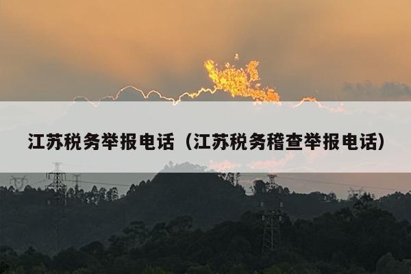 江苏税务举报电话（江苏税务稽查举报电话）