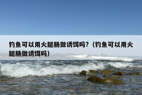 钓鱼可以用火腿肠做诱饵吗?（钓鱼可以用火腿肠做诱饵吗）