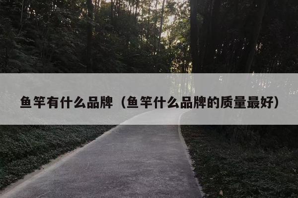 鱼竿有什么品牌（鱼竿什么品牌的质量最好）