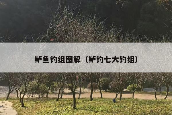 鲈鱼钓组图解（鲈钓七大钓组）