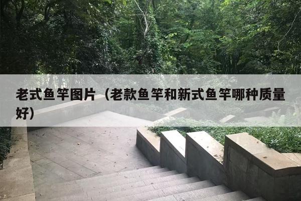 老式鱼竿图片（老款鱼竿和新式鱼竿哪种质量好）