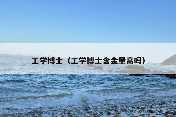 工学博士（工学博士含金量高吗）