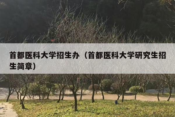 首都医科大学招生办（首都医科大学研究生招生简章）