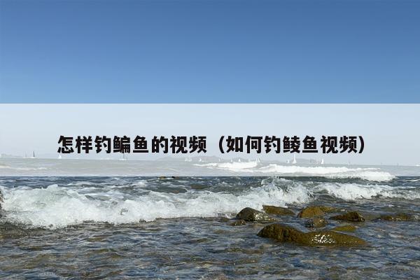 怎样钓鳊鱼的视频（如何钓鲮鱼视频）