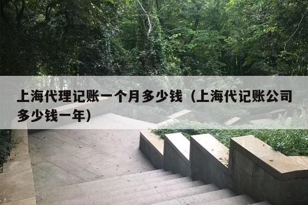 上海代理记账一个月多少钱（上海代记账公司多少钱一年）