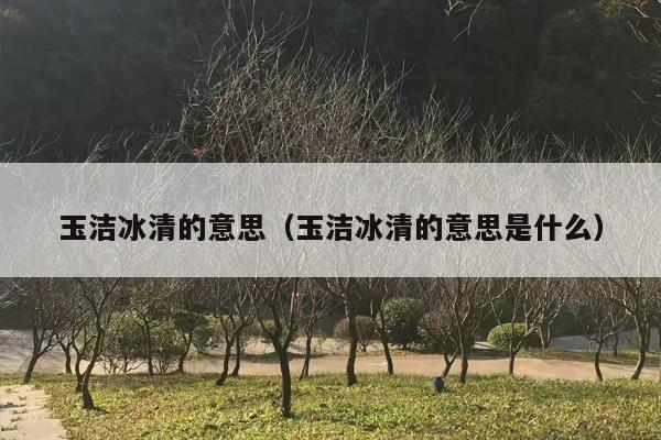 玉洁冰清的意思（玉洁冰清的意思是什么）