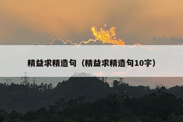 精益求精造句（精益求精造句10字）